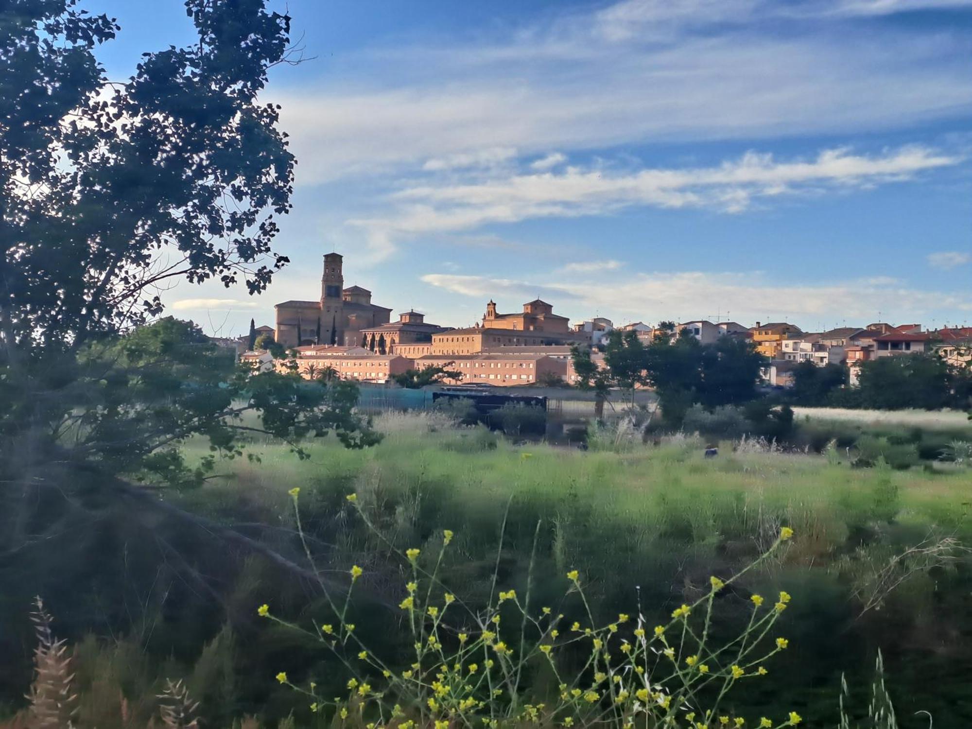 Apartamento Rural Las Canas Esencia De Bardenas Villafranca Eksteriør billede